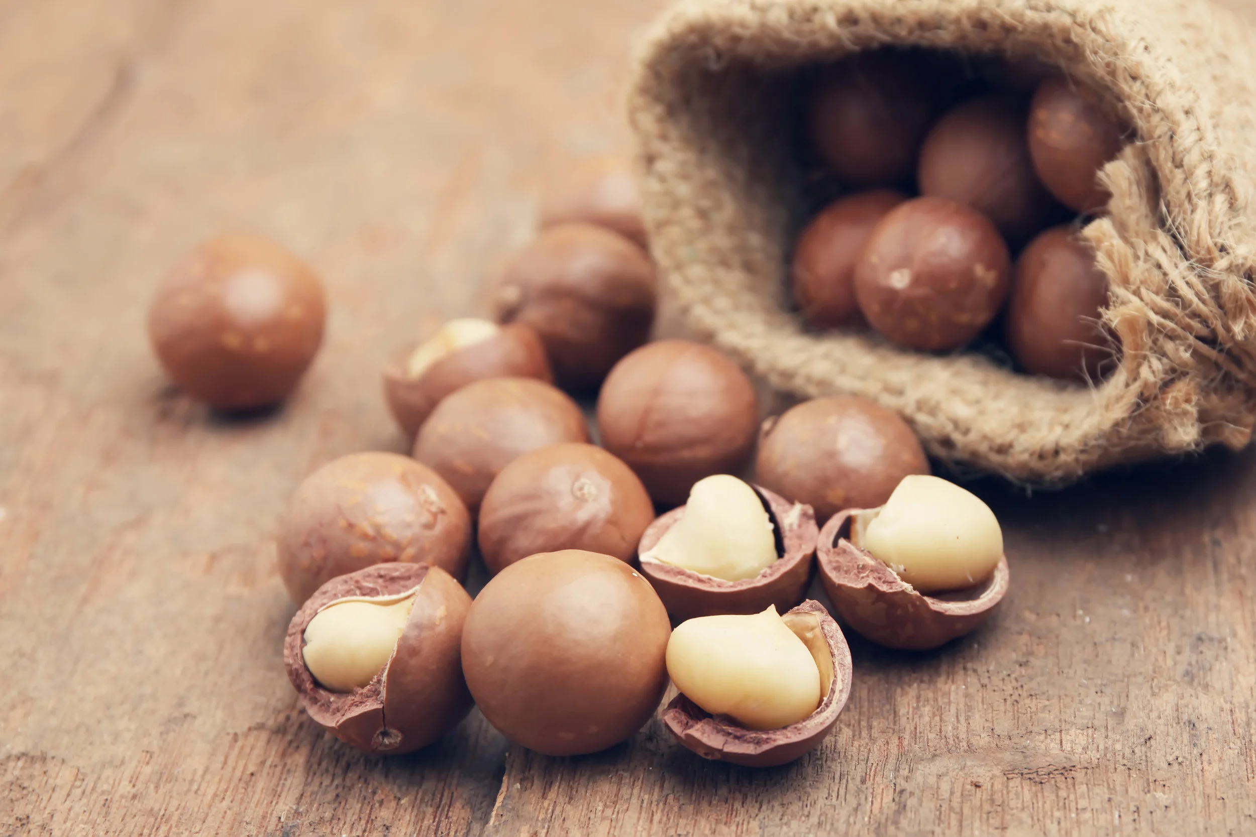 macadamia nuts.jpg