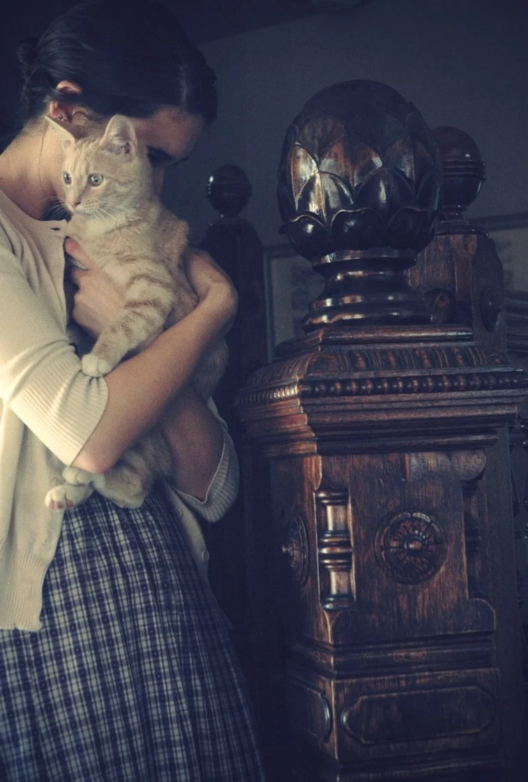 DSC_0992a.jpg_effected