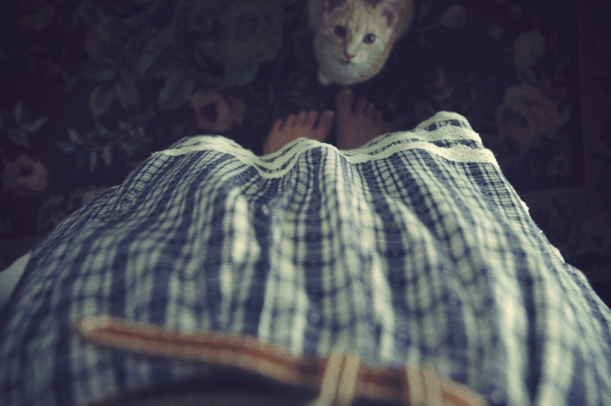 dress and cat