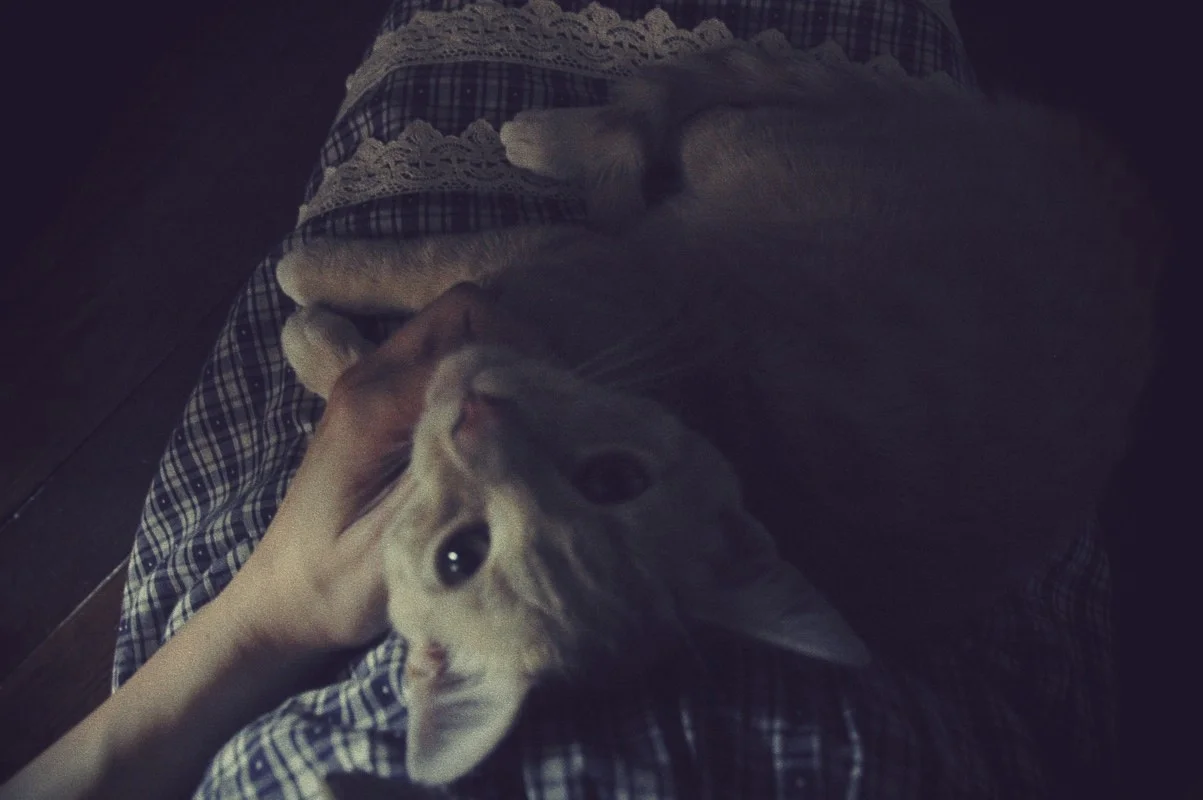 DSC_1023a.jpg_effected