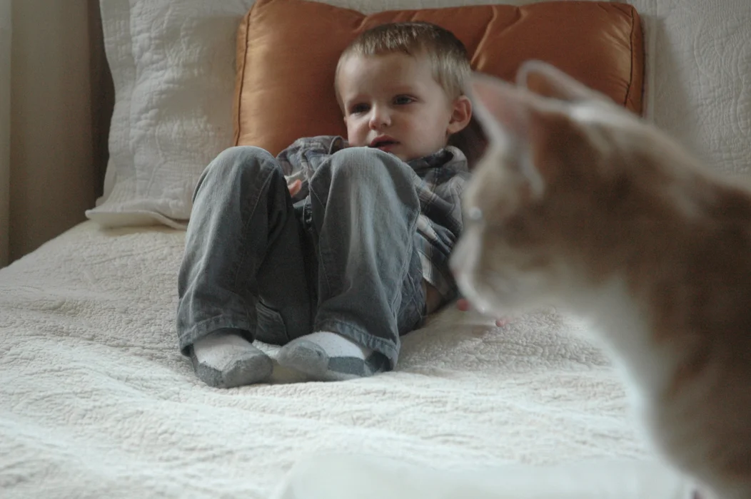 cat and kid