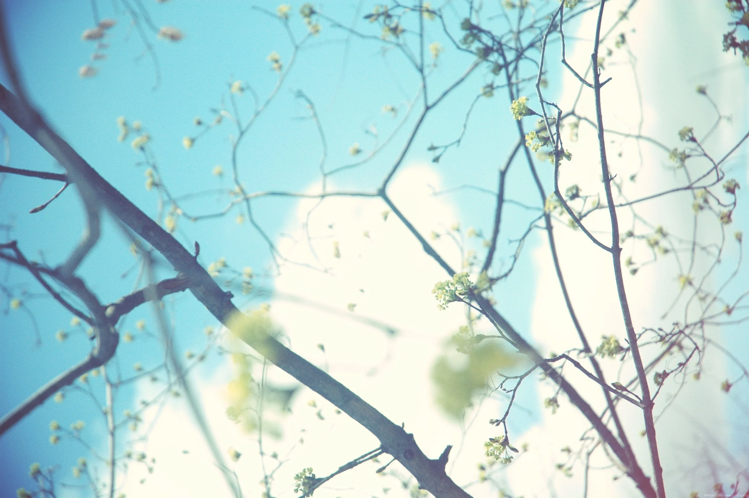 DSC_0039.JPG_effected