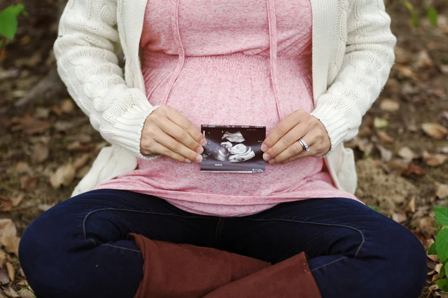 maternity photo shoot fall