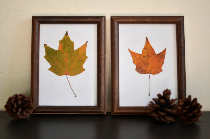 Fine and Feathered Fall Crafts