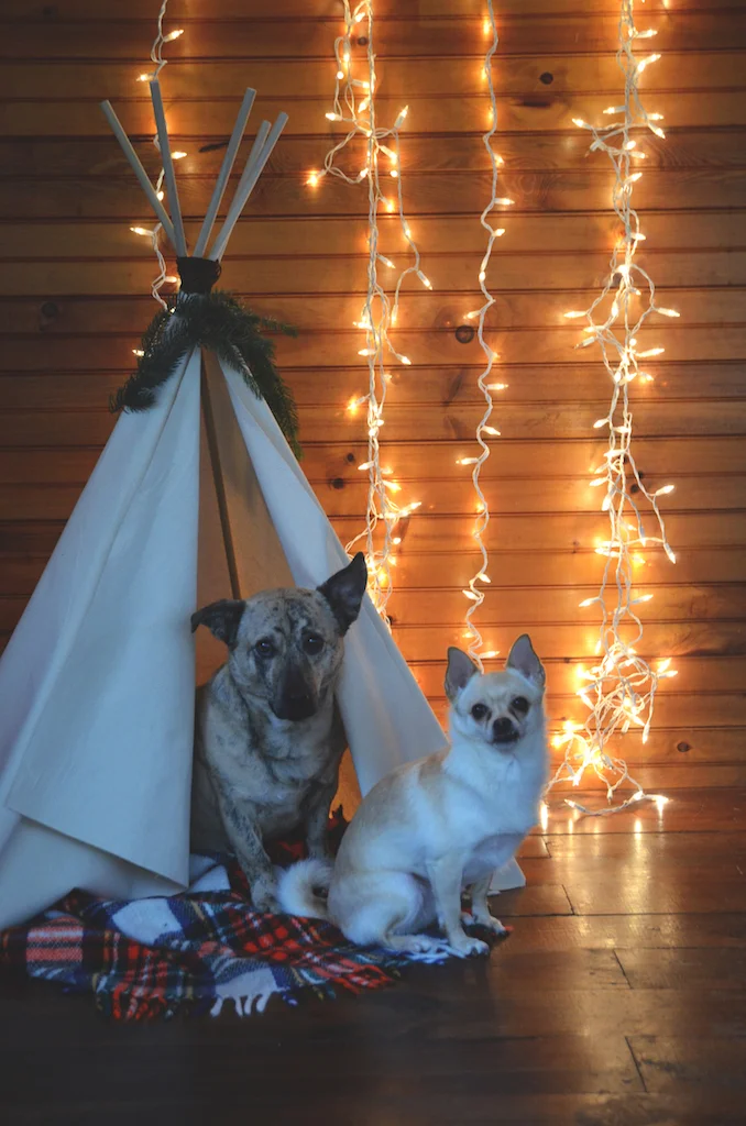 Dog tipi DIY