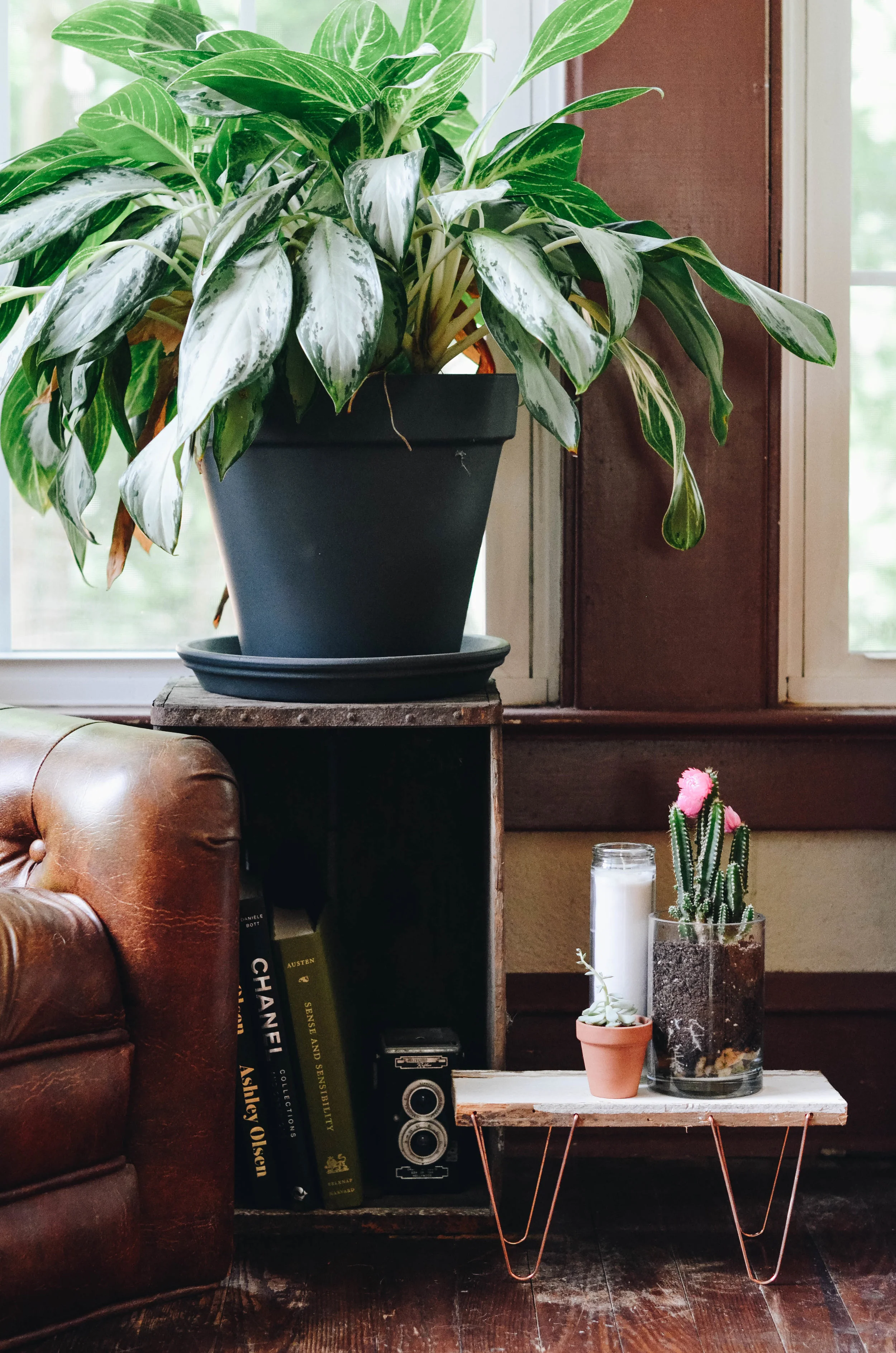 Mini Hairpin Leg Plant Stand DIY