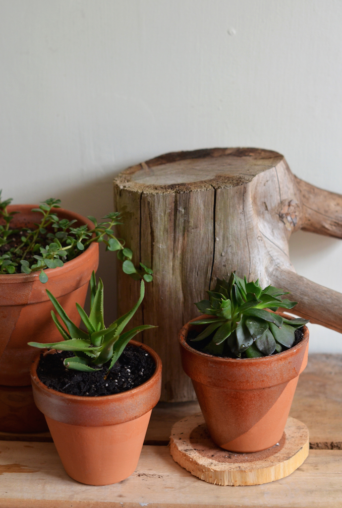 Simple Copper Plant Pots DIY