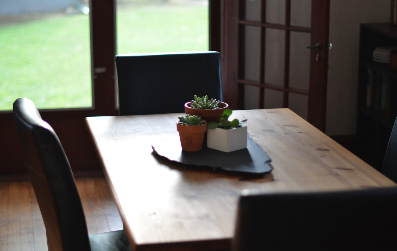 Fine and Feathered - Succulents