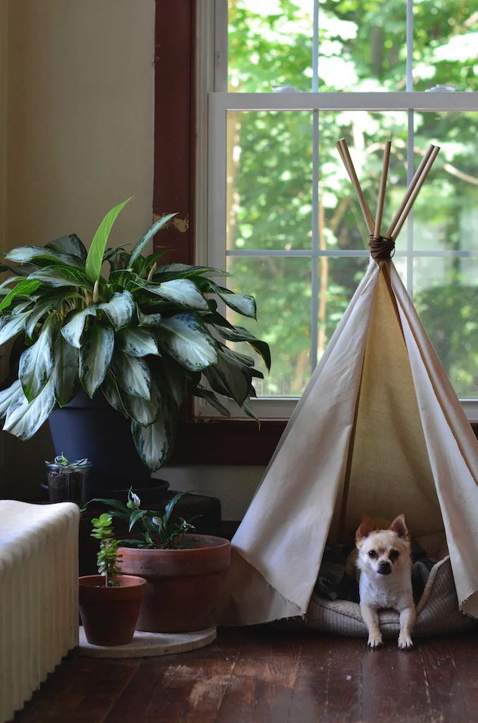 Fine and Feathered - Dog Teepee