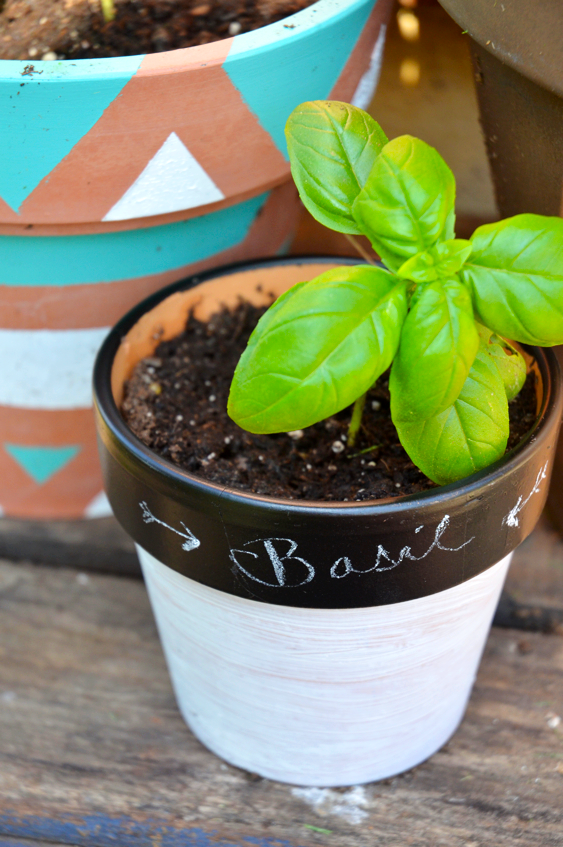 Fine and Feathered - Chalkboard Plant Pot