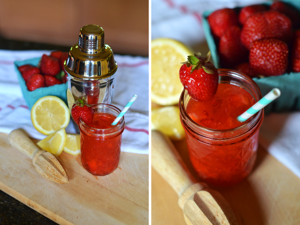 Fine and Feathered Food Photography