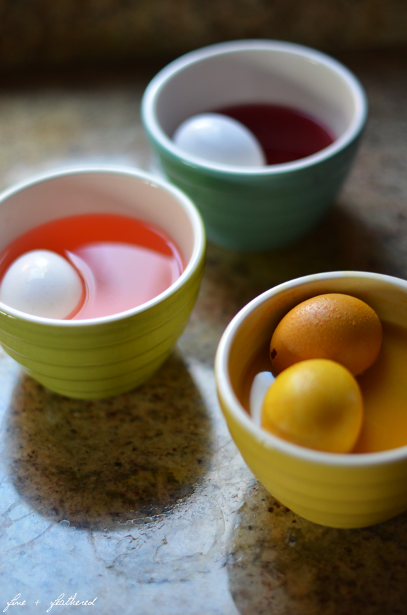 Fine and Feathered Egg Dying