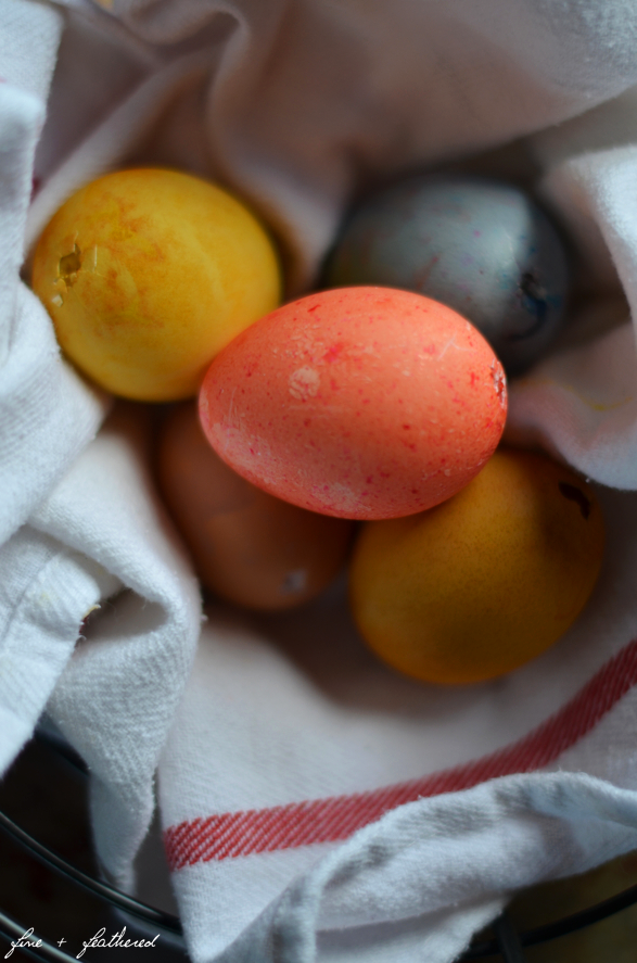 Fine and Feathered Eggs