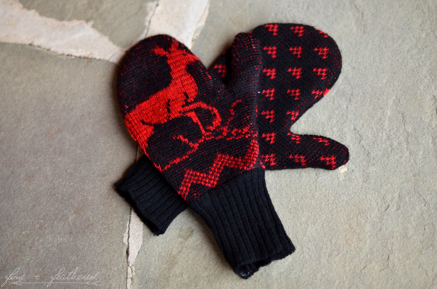 Fine and Feathered DIY mittens