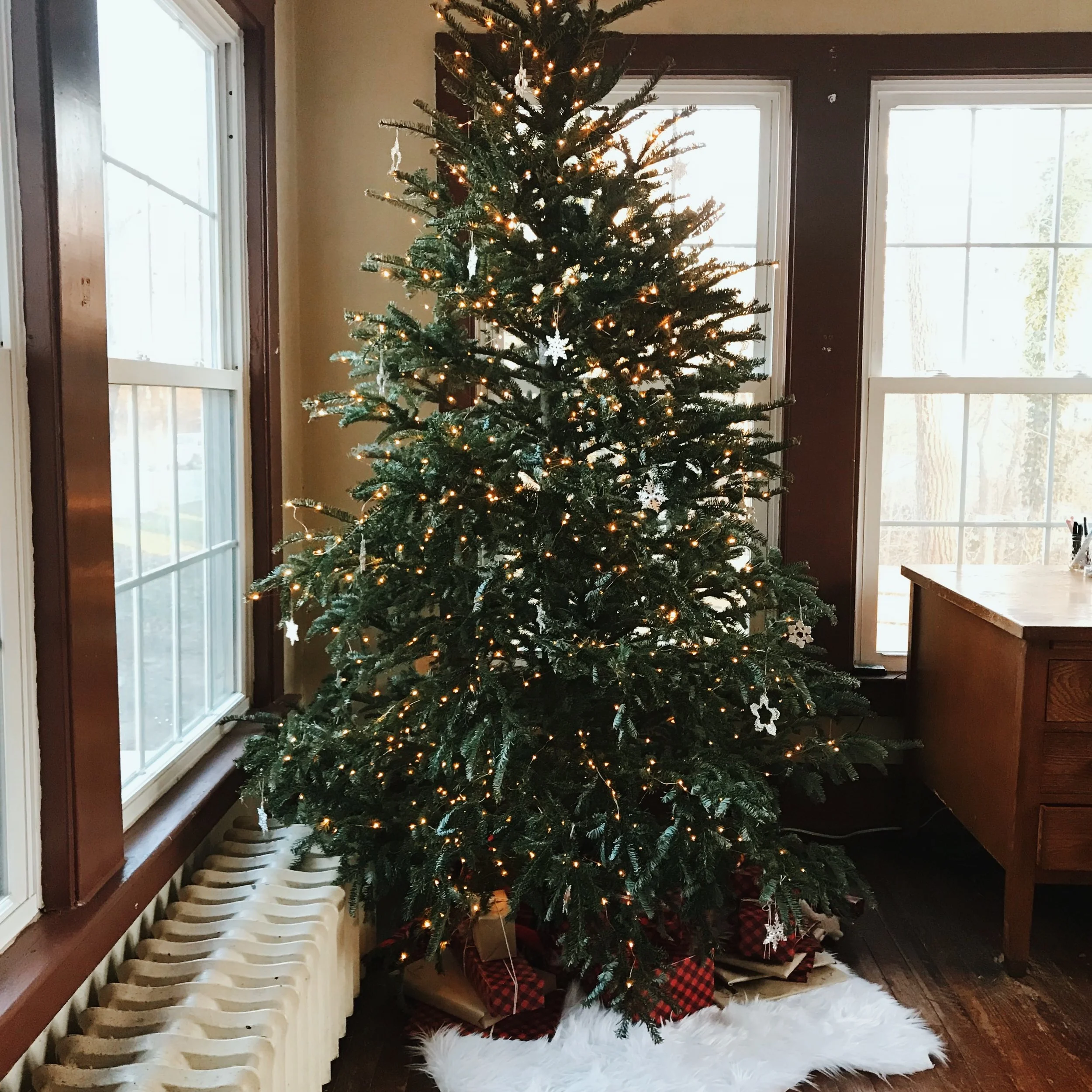 Fine and Feathered Blog - A Little Christmas