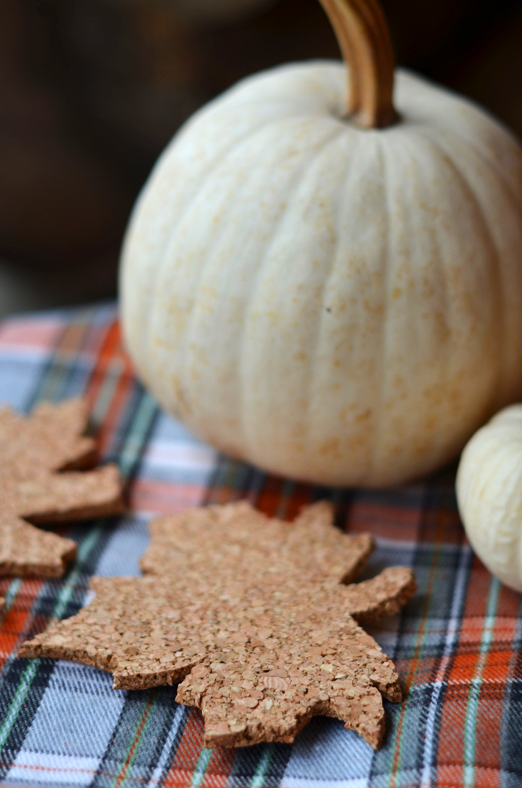 DIY Fall Leaf Coasters from Cork