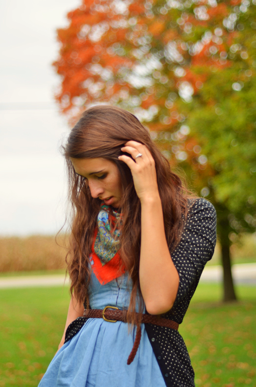 Fine and Feathered Blog