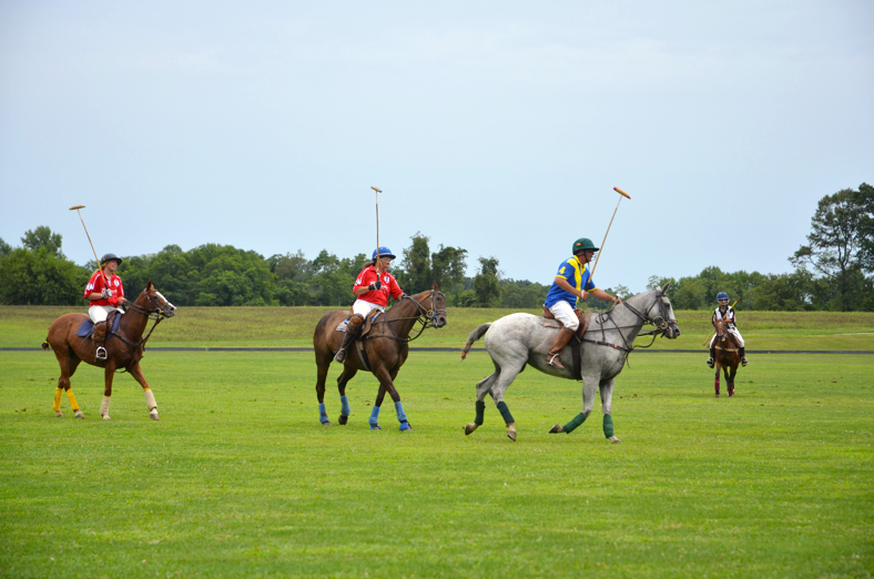 Fine and Feathered Blog