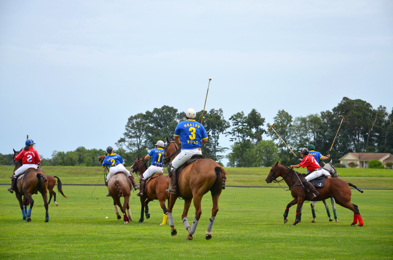 Fine and Feathered Blog