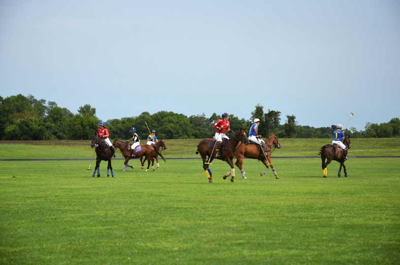 Fine and Feathered Blog