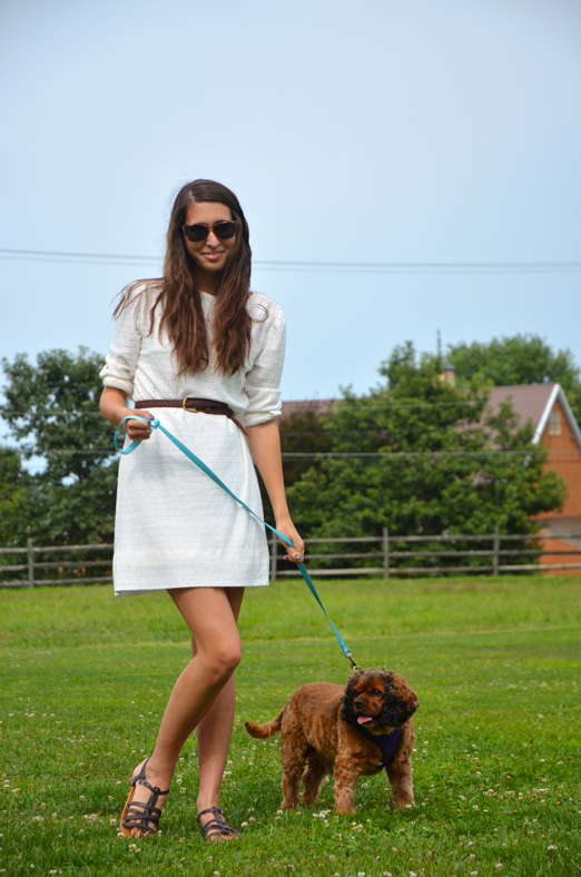 Fine and Feathered Blog