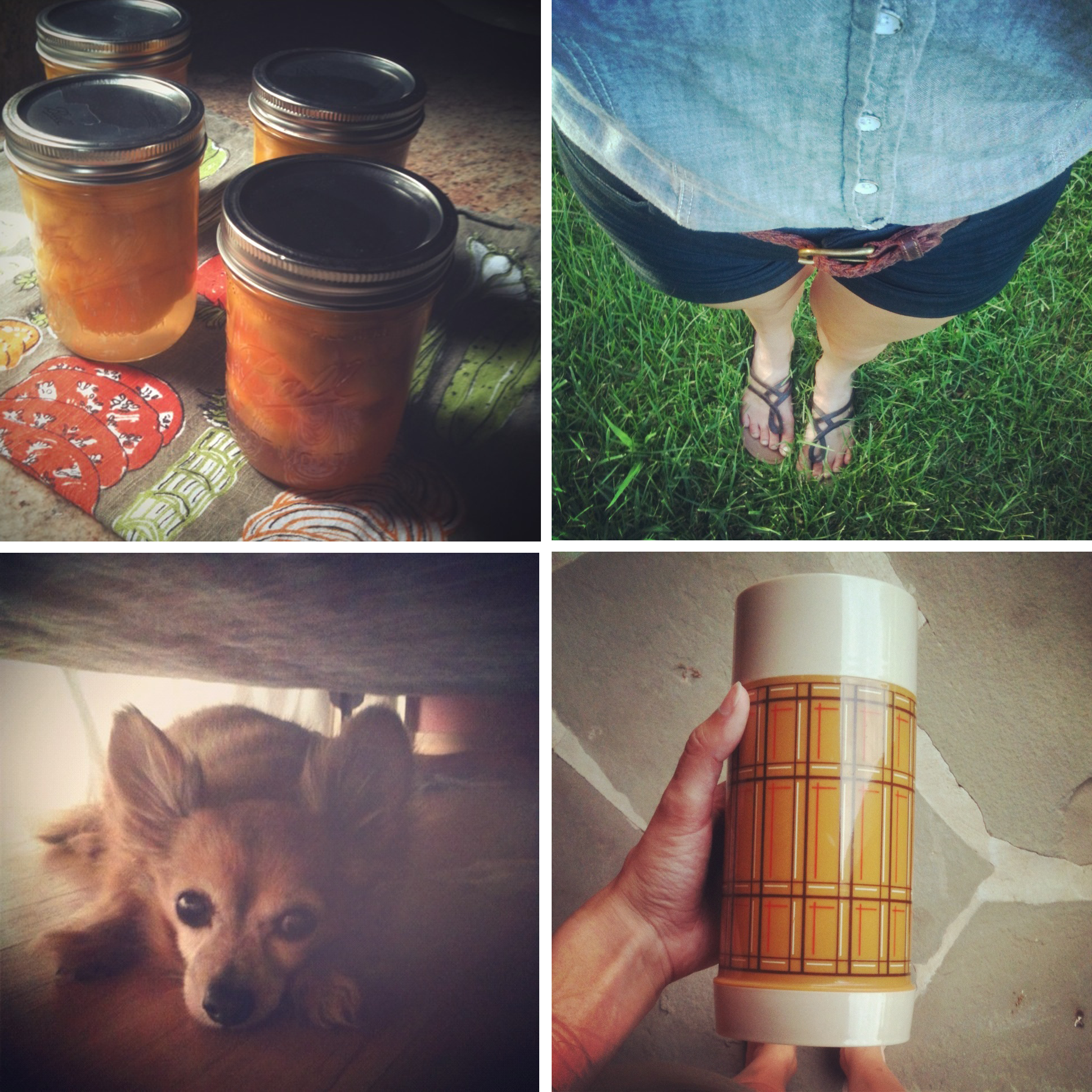 Fine and Feathered Blog