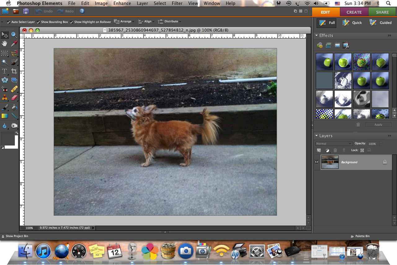 Fine and Feathered Blog