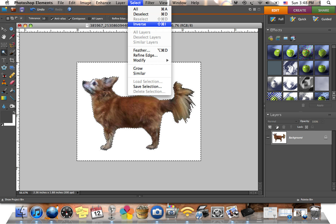 Fine and Feathered Blog