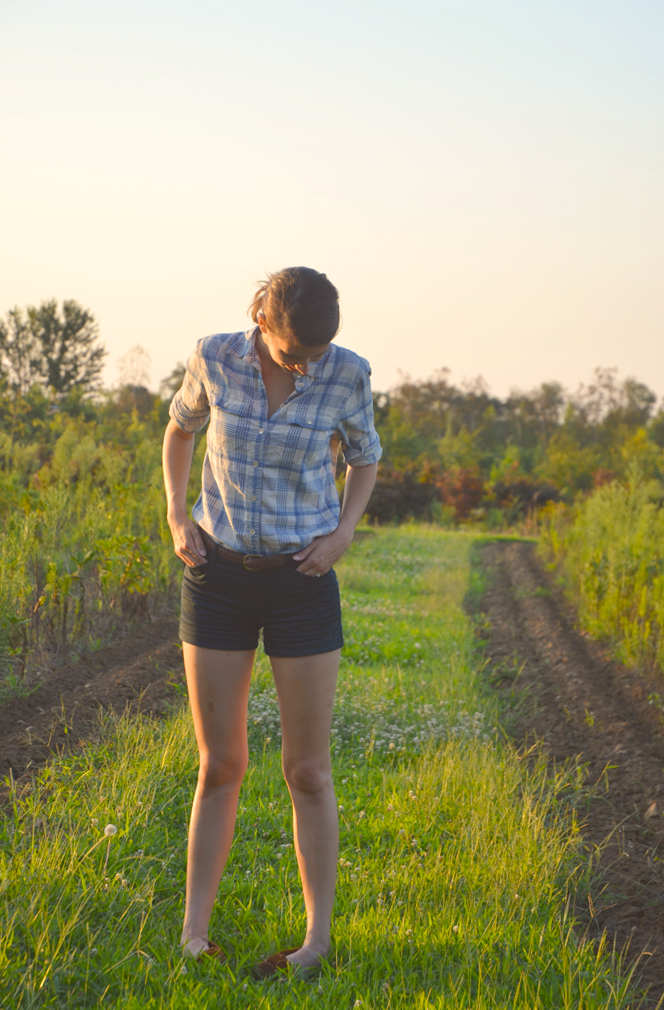 Fine and Feathered Blog