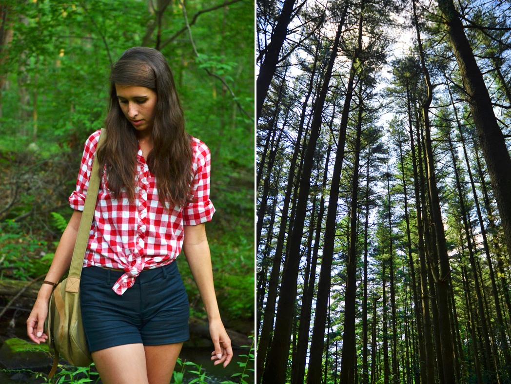 Fine and Feathered Blog