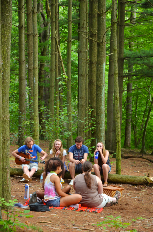 Fine and Feathered Blog