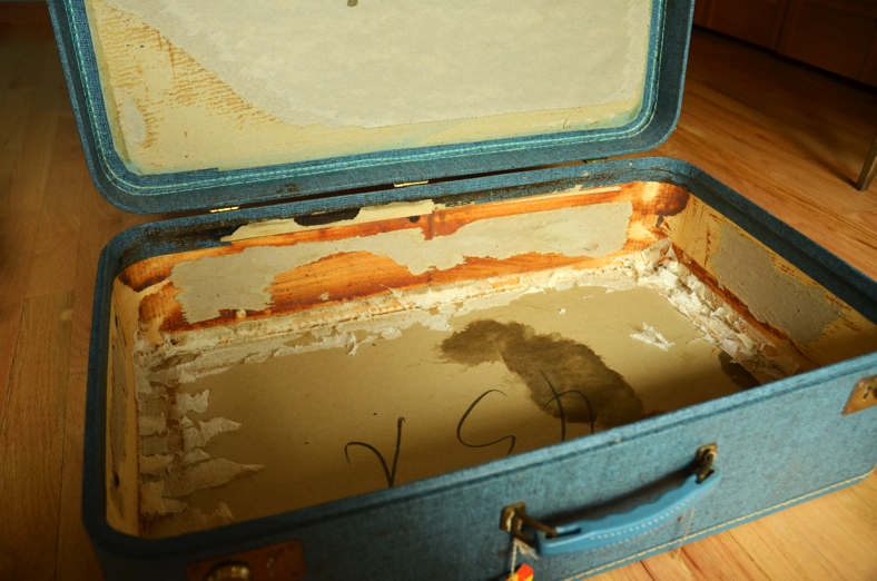 Fine and Feathered Blog