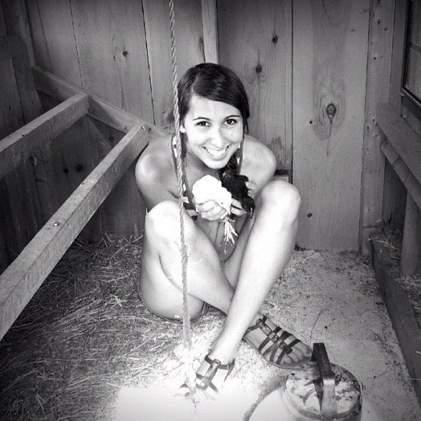 Fine and Feathered Blog