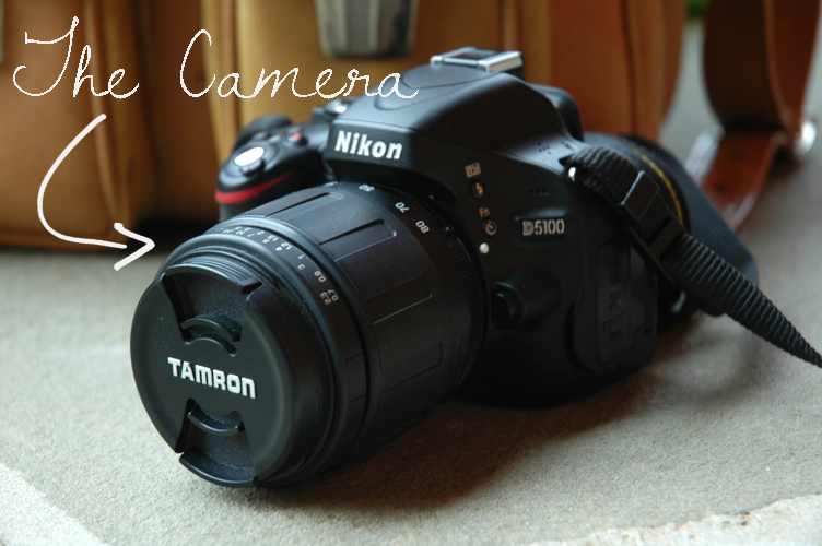 Fine and Feathered Blog