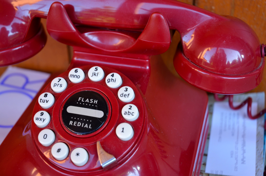 Fine and Feathered Blog