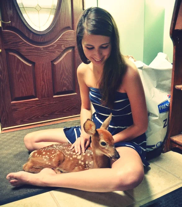 DSC_0203a.jpg_effected