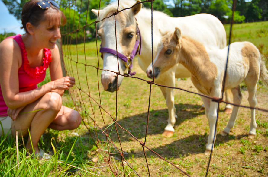 Fine and Feathered Blog