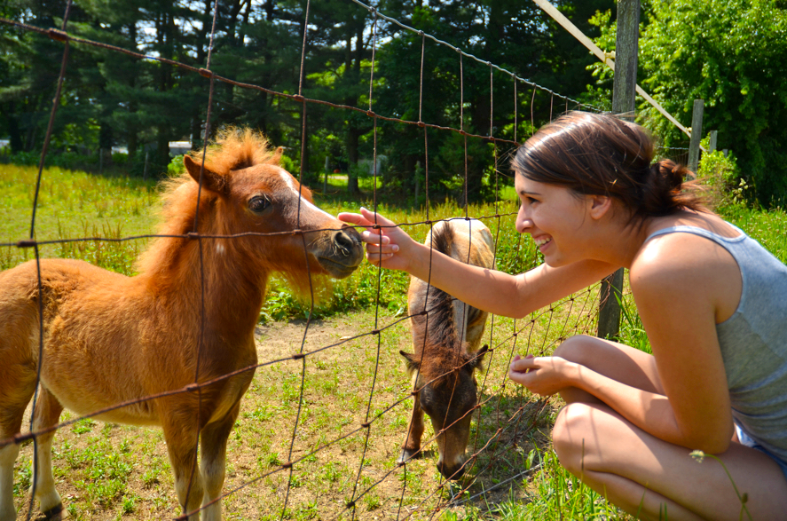 This past weekend me and my mamma (that her, above!) went out in search of some strawberry picking, and on our way we came across an entire farm of miniature horses and ponies! Well.. of course we had to pull over! And we were so surprised when they…