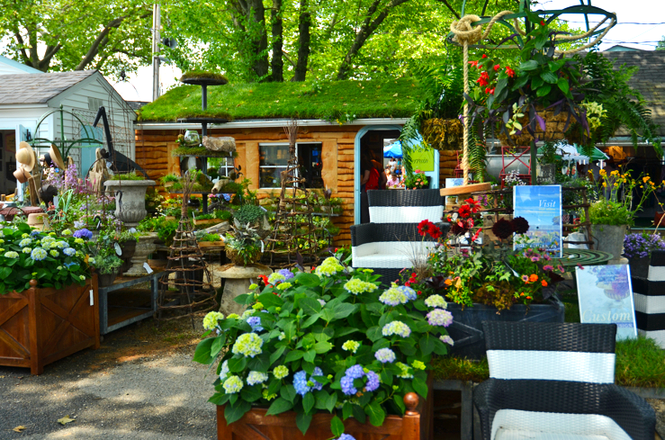 Fine and Feathered Blog