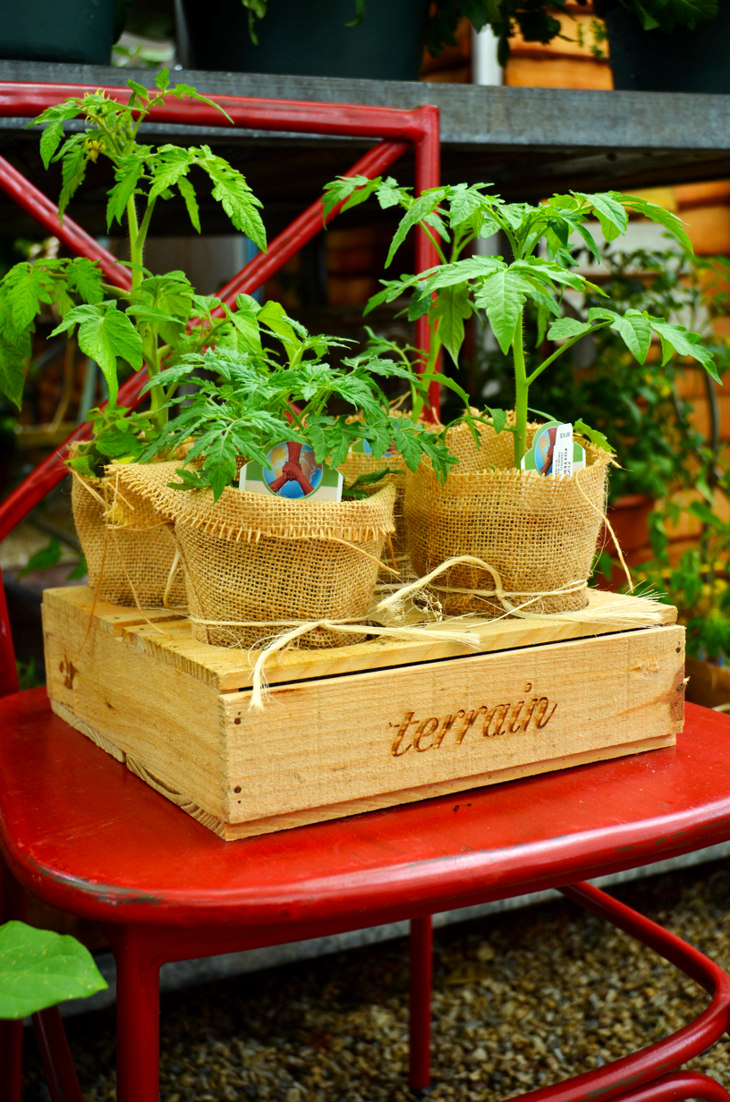 Fine and Feathered Blog