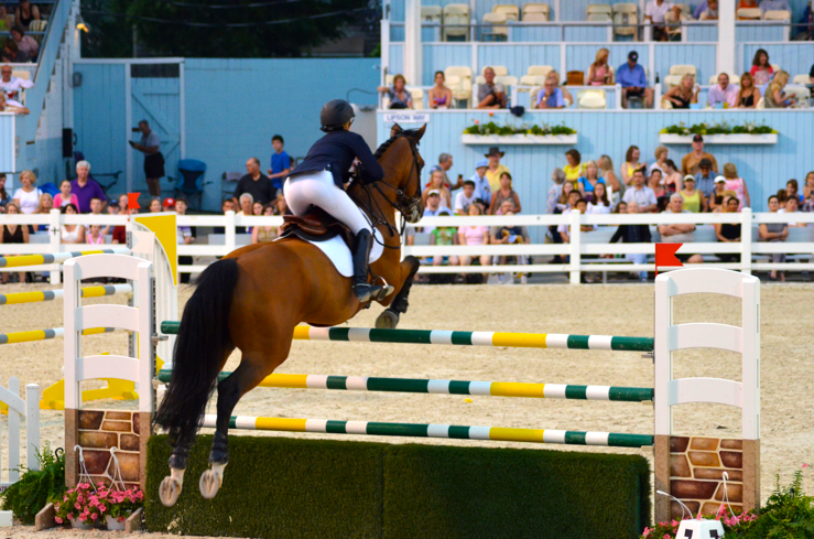 Fine and Feathered Blog