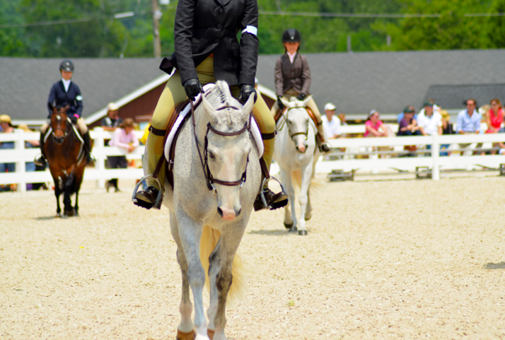 Fine and Feathered Blog