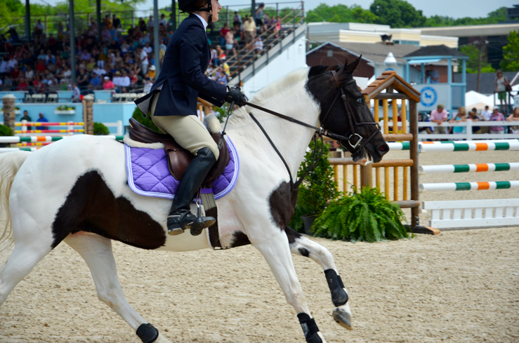 Fine and Feathered Blog