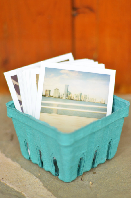 Fine and Feathered Blog