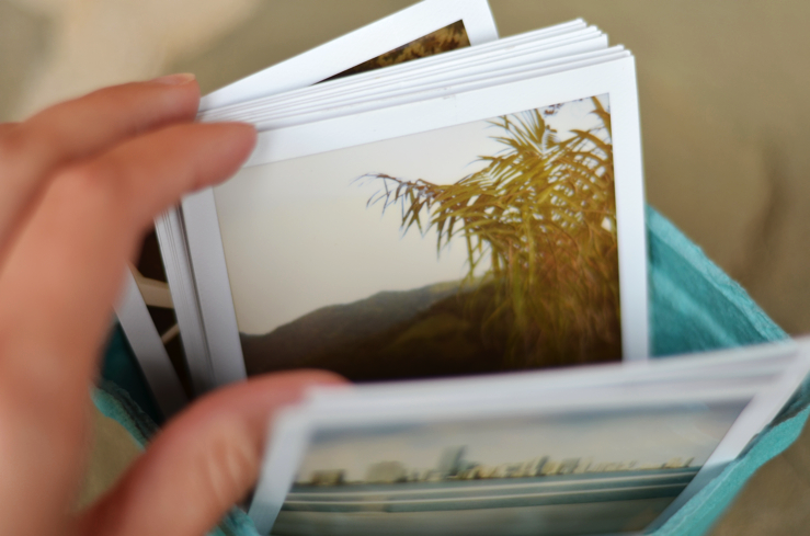 Fine and Feathered Blog