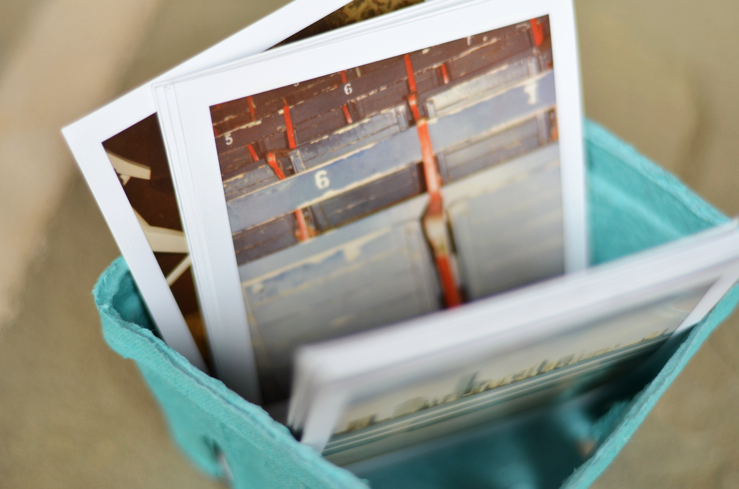 Fine and Feathered Blog