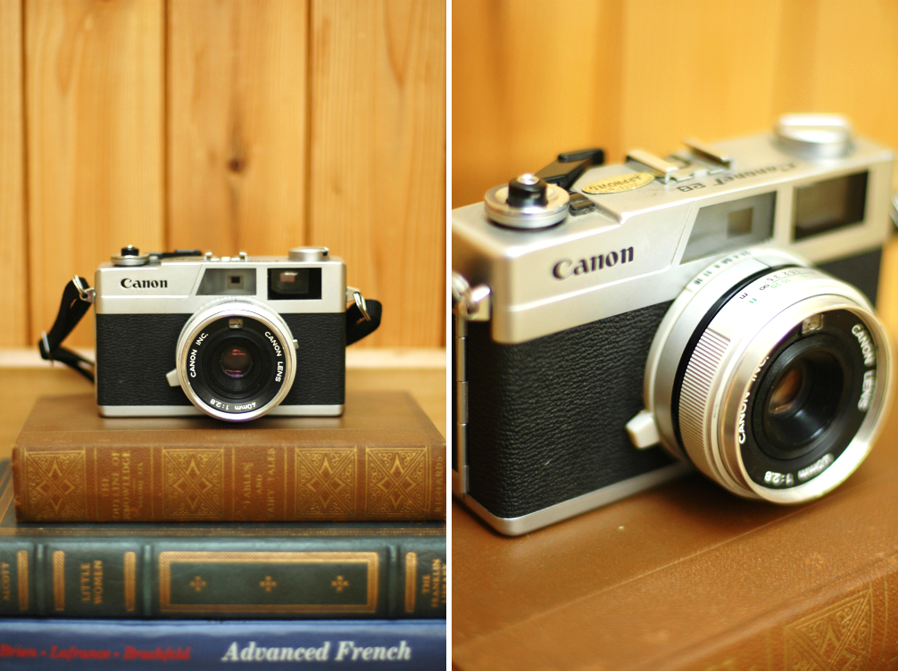 Fine and Feathered Blog