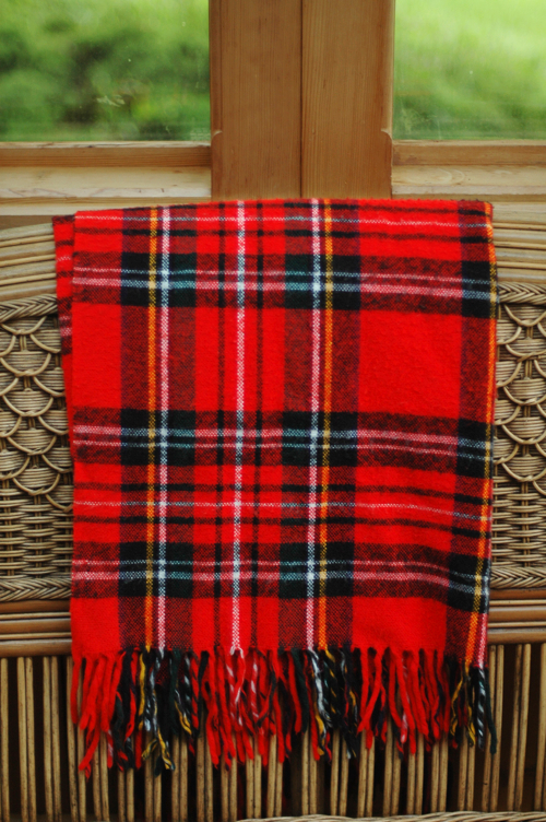 Fine and Feathered Blog