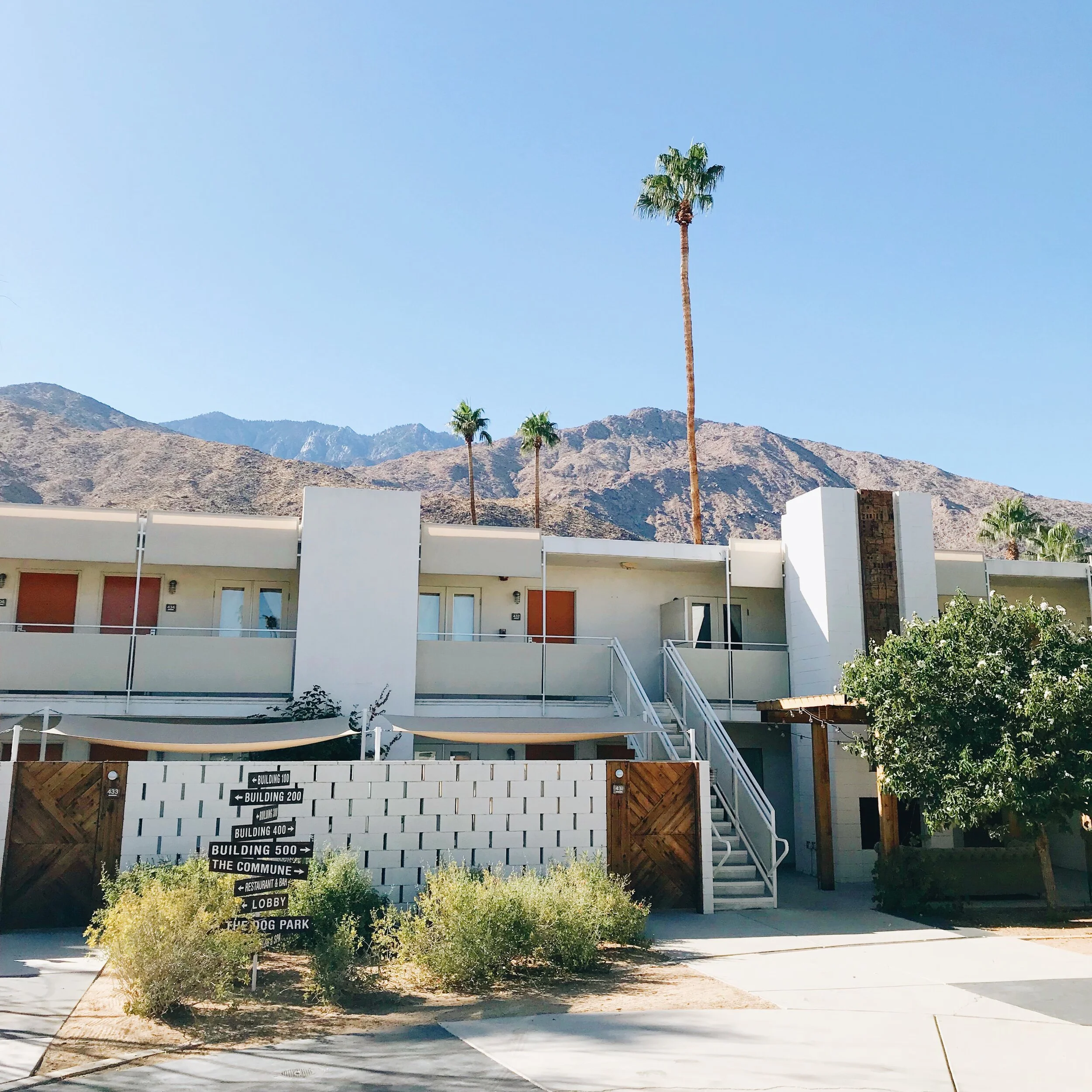 Ace Hotel Palm Springs by Josie Michelle Davis