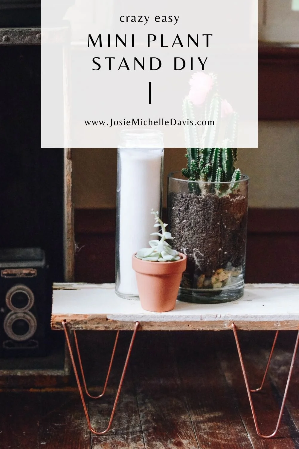 Crazy Easy Mini Plant Stand DIY - Josie Michelle Davis Blog
